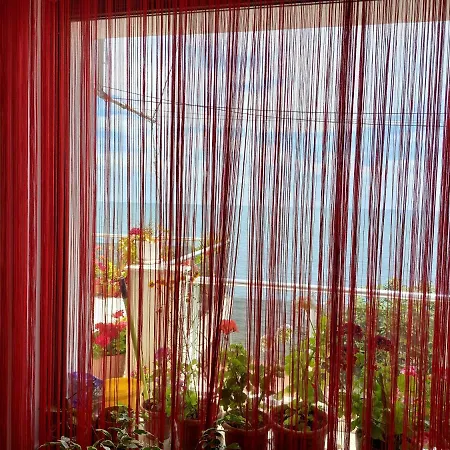 Guest house Neli
