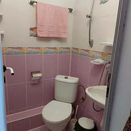 Neli Guest house *